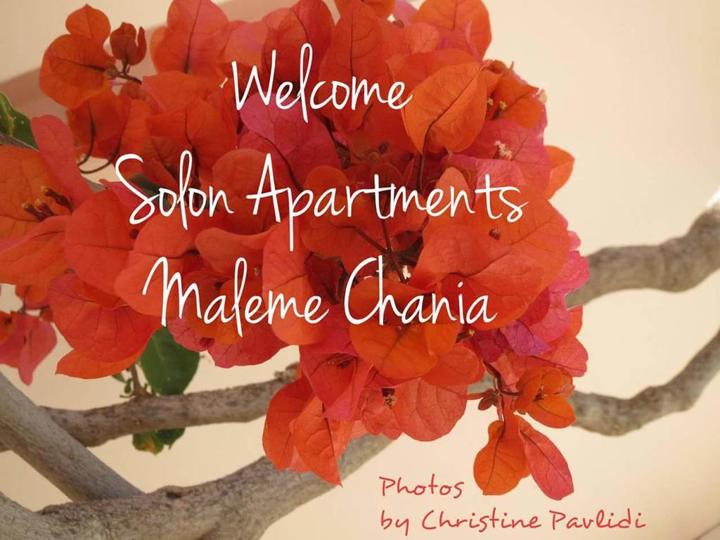 Maleme Solon Apartments المظهر الخارجي الصورة